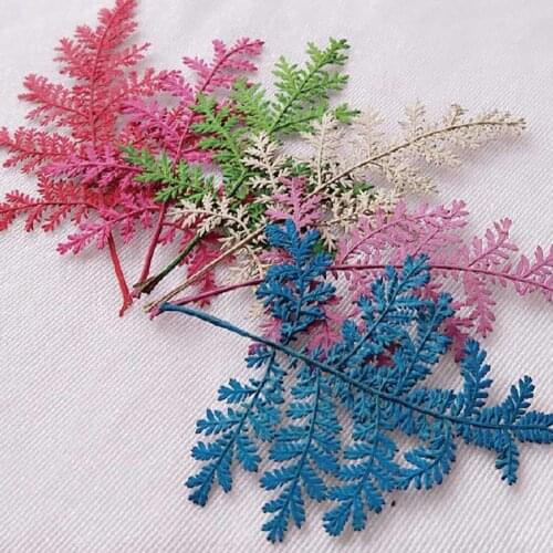 60pcs Pressed Dried Dyed Wormwood Leaf Leaves Plants Herbarium For Jewelry Postcard Invitation Card Phone Case Bookmark DIY