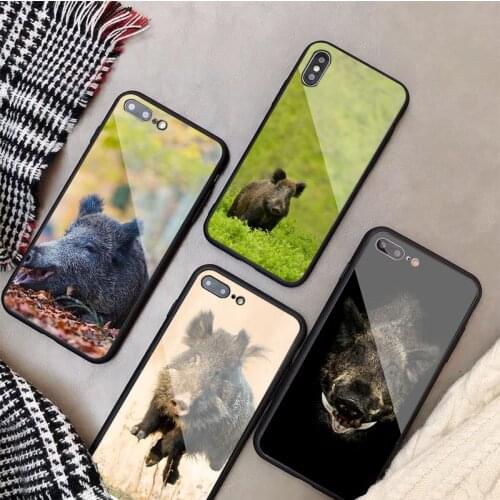 Wild boar Tempered Glass Phone Case For iphone 12 11 Pro Max 5 6 7 8 PLUS X XS XR XSMax Shell