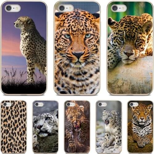Soft TPU Phone Case Z Wallpaper Leopard For Huawei Nova 2 2i 3 3i Y3 Y5 Y6 Y7 Y9 Prime 2015 2016 2017 2018 2019