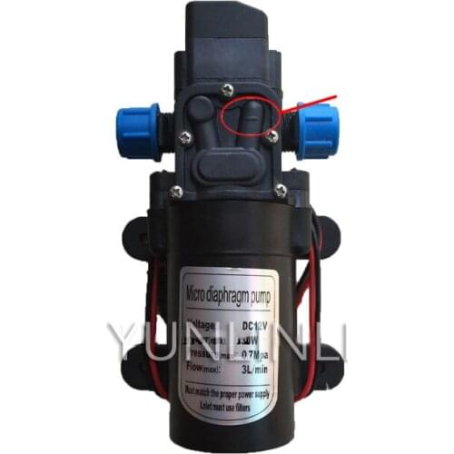 Gardening Special Pressurized Diaphragm Pump Watering Spray Spray Drip Irrigation 0.7MPA 12v 100W DC Water Pump