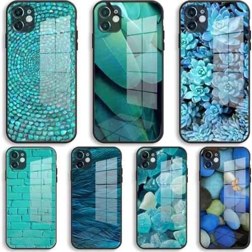 Turquoise Stone flora feather Soft Glass Silicone Case For iPhone 12 11 Pro X XS Max XR 8 7 6 Plus SE 2020 S Mini Balck Cover