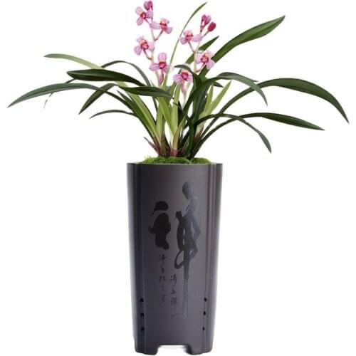 Indoor Green Plant Desktop Potted Gentleman Orchid Hanging Orchid Special Pot Ceramic High Pot Large Breathable Purple Sand Pot