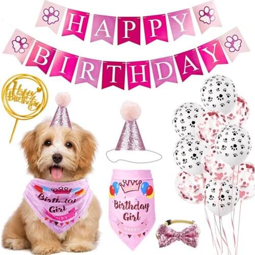 Lovely Cat Dog Brithday Party Accessories Set for Dogs Mascotas Supplies Puppy Chihuahua Hat Cap Collar Bibs perros accesorios