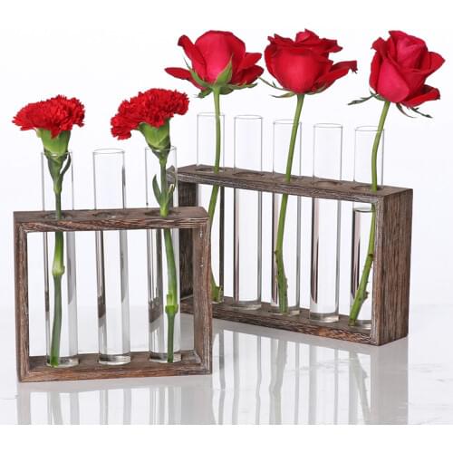 Water Planting Glass Vase, Test Tube Planter Modern Flower with Retro Solid Wooden Stand Tabletop
