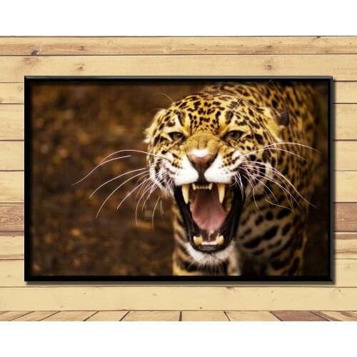 Jaguar Strong And Fast Land Animal (27) Wall Posters Prints Silk Art Painting For Home Wall Bedroom Decor