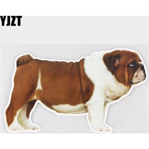 YJZT 18.5×10.8CM English Bulldog Animal Car Sticker Creative Window Bumper Decoration Accessories 21A-1073