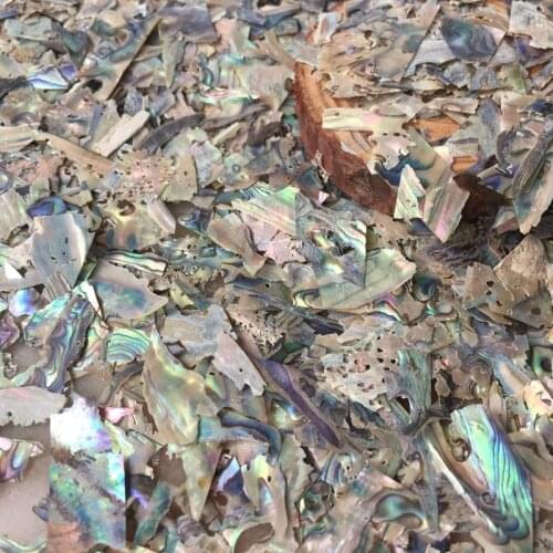 1lot(50g)Abalone Shell Scrap Inlay DIY Craft Decoration Accessories Musical Instruments Manicure Nail Art Flakes Material