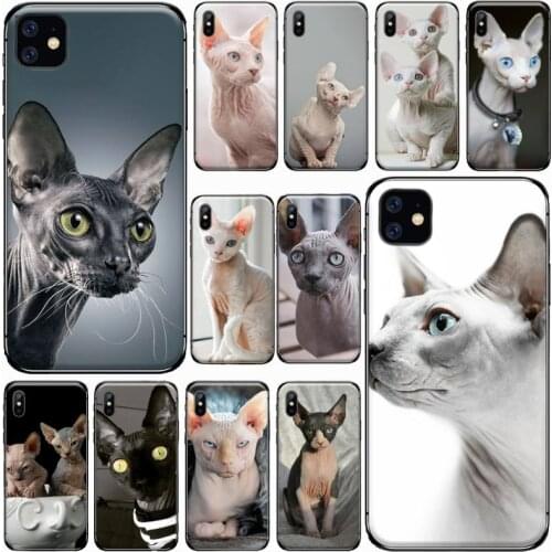 Sphynx cat cute animal Phone Case for iPhone 11 12 pro XS MAX 8 7 6 6S Plus X 5S SE 2020 XR Luxury brand shell funda coque