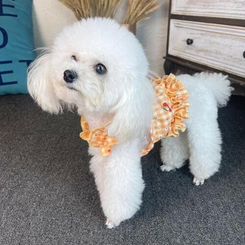 Dog Vest Ruffled Hem Two-legged Cotton Fruit Printing Pet T-Shirt Costume for Summer