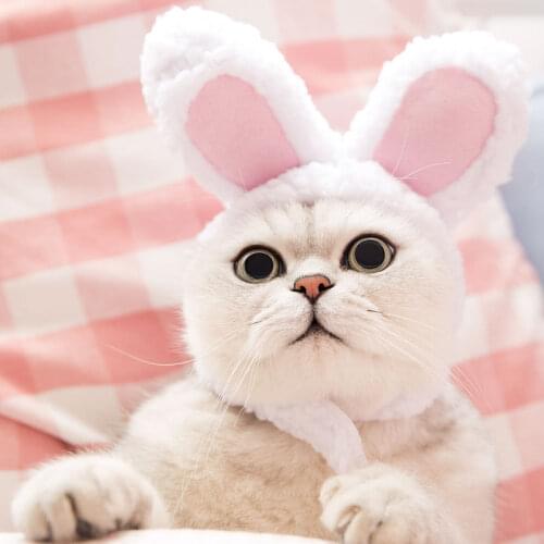 Cat Cap Costume Clothes Warm Rabbit Hat For Cat Accessories Christmas Cosplay Accessories Photo Props Headwear