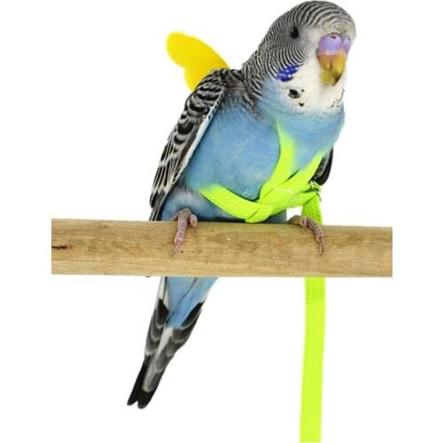 A 1Pc Adjustable Parrot Bird Harness Leash Set Anti-bite Training Harness For Small Birds Cockatiel Parrots Outdoor Flying Rope
