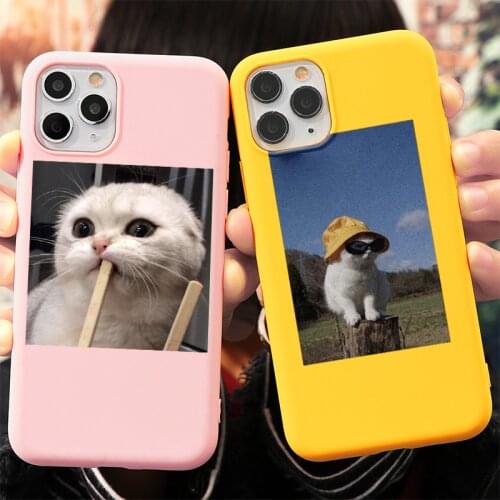 Cute Cat Case For iPhone 12 mini 11 Pro 12pro XS X XR Max SE 2020 Lovely Candy Color Cover For iPhone 7 8 6 6s 5 5s Plus Etui