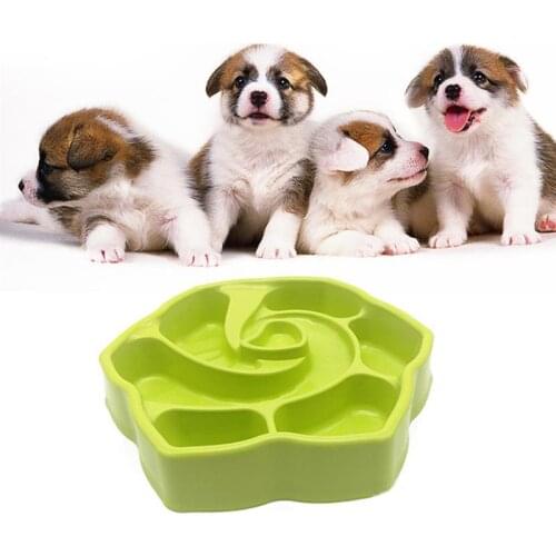 Pet Slow Feeder Plastic Anti-choke Pet Bowl Pet Feeding Bowl for Cats Dogs