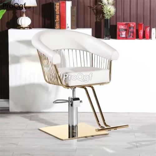 Prodgf 1 Set Ins Nordic European Salon Chair