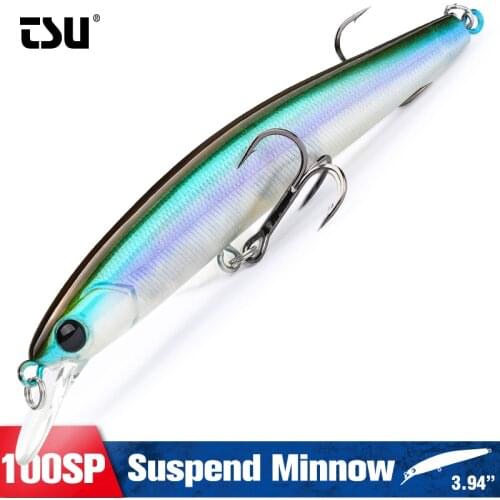 TSURINOYA Hot Sale 100SP Suspending Minnow Fishing Lure 100mm 9.5g DW70 Professional Pike Jerkbait Hard Bait Wobbler Crankbait