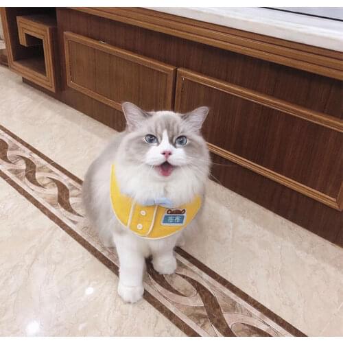 Pet Neckerchief Cat Dog Accessories Scarf Waterproof Printing Bibs Scarf Collar Pet Saliva Towel Cotton Custom-made Pets' Name