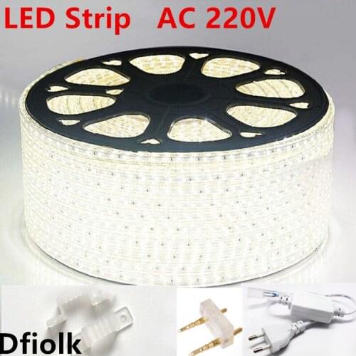 AC 220V led strip light 3014 120led/m waterproof IP65 led tape with power plug led rope ribbon white warm white blue led lamp