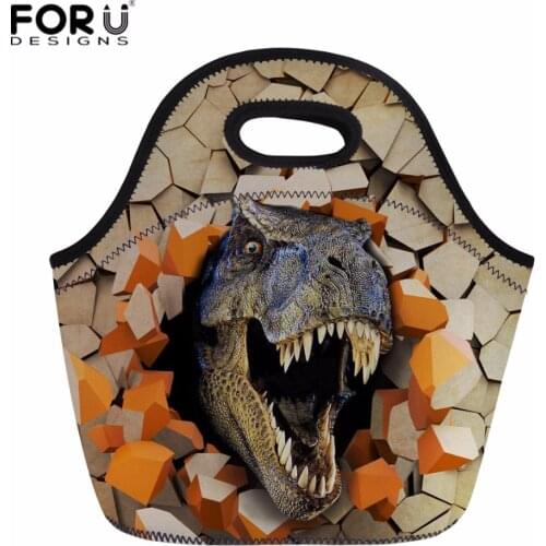 FORUDESIGNS Dinosaur Printed Insulated Thermal Lunch Bag Keep Warm Picnic Bag Meal Hand Bag Tote for Women Kids with Zipper