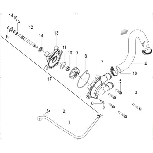 Water pump page of Benelli TNT300 BN302