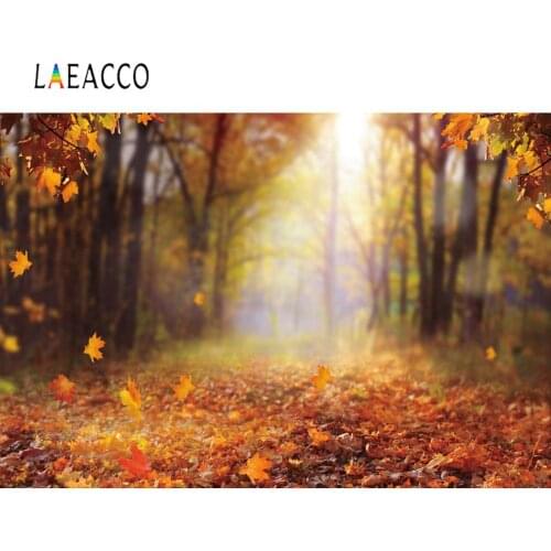 Laeacco Forest Tree Backgrounds For Photography Autumn Fallen Leaves Maples Way Natural Scenic Photo Backdrops For Photo Studio