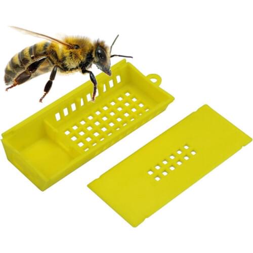 100pcs Bee Cage Beehive Honey Beekeeping Queen Cage Beekeeping Tools Wholesale