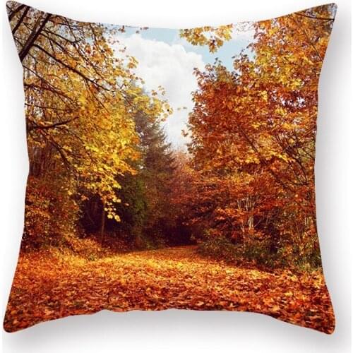 Silk pillowcase Deciduous forest scenery beautiful pillowcase cushion pillow custom pillow cover 9