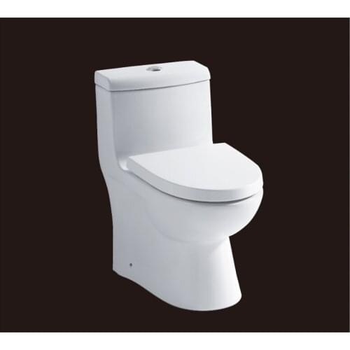 2019 hot sales water closet one-piece toilet S-trap toilets with PVC adaptor PP soft close seat AST361 UPC certificate