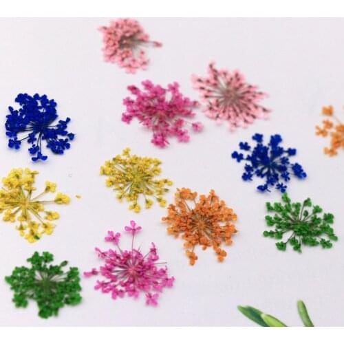 12Pcs/Set Nail Flower Decoration 3D Beautify Fingers Various Colors Dried Flower Nail Decoration Natural Floral Sticker for Fema