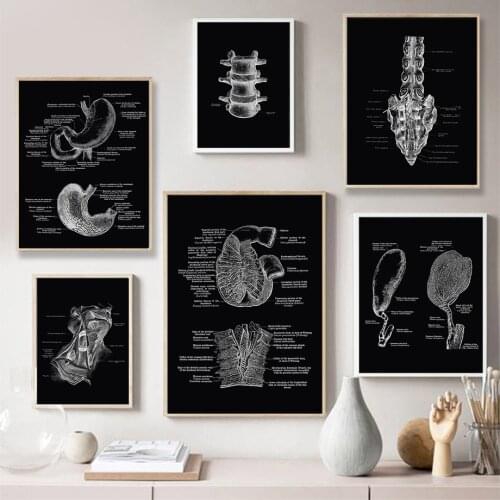 Medical Anatomy Organs Skeleton Skull Vintage Wall Art Canvas Painting Nordic Posters And Prints Wall Pictures For Clinic Decor