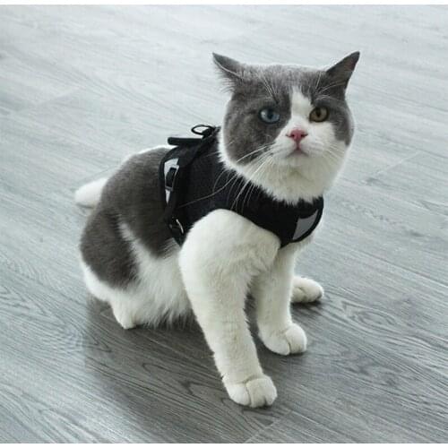 T3EC Dog Harness Vest Adjustable Breathable Mesh Back Lightening Design for Outdoor Pet Control Harness Vest in Nylon