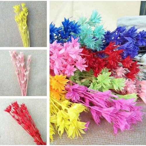 10 Bundles Dried White Lllicium Flowers Plants Herbarium For Wedding Party Home Hotel Decoration DIY Bouquet Project Accessory