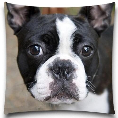 Sparkling dog pattern Pillows Case Cotton Polyester Sofa Car Cotton Cushion Cover Creative Decoration Square 5 size 9 style