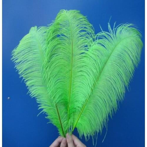 Wholesale beautiful green ostrich feathers 100pcs 20-22 inches / 50-55 cm Weddings & Celebrations feathers