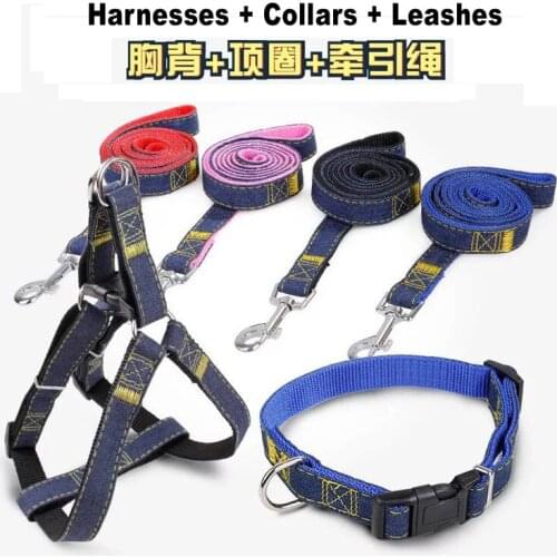 COZYDECO Collars, Harnesses And Leashes