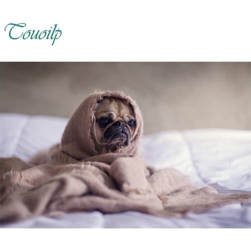 5D Diy diamond painting round&square crystal Painting diamonds decorative diy diamond embroidery kits Cute dog pretty