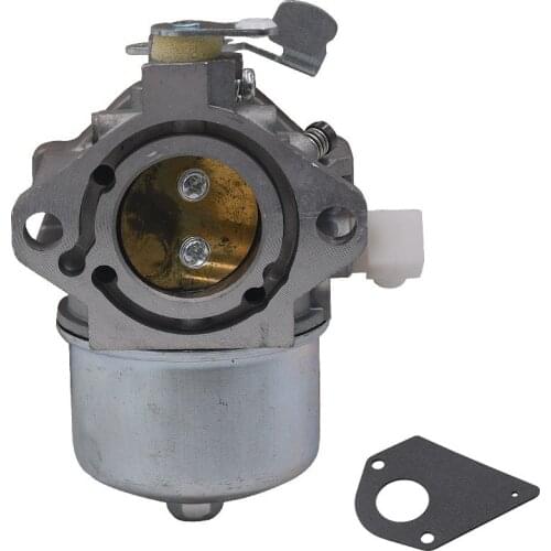 495778 Carburetor For Briggs & Stratton 494883 495778 Lawn Mower Engine Motor