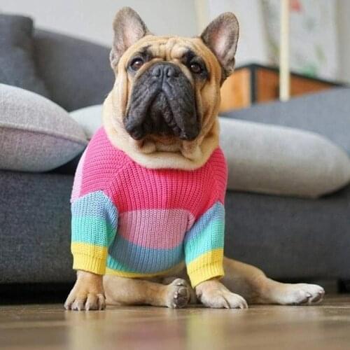 Personality Rainbow Cute Sweater Pet Dog French bulldog Clothes Small And Medium Dogs Comfortable Autumn And Winter