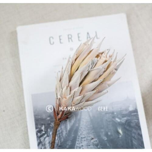 Nordic Style Ins South Africa Imported Dried Flowers High-End Flower Arrangement Bouquet with Soft Ornamental Flower Emperor