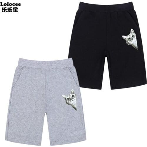 2121 Summer New naughty Cat Printed Shorts Boys Casual Elastic Waist Loose short Pants with Pocket