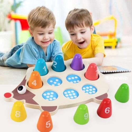 Math Toy Building Blocks Hedgehog Colorful Wooden Magnetic Children Colorful Memory Training Kids Montessori Wood Education Game