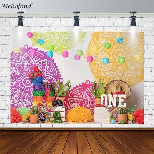 Mehofond Boy 1st Birthday Party Cactus Straw Hat Balloon Horse Model Decor Photography Background Props Banner Photozone