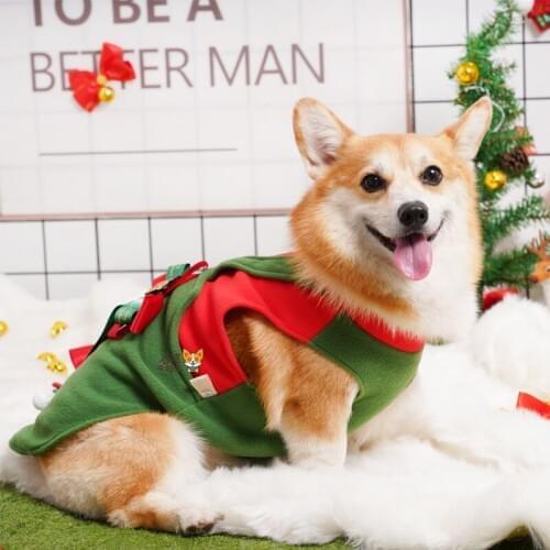 Small Vest Corgi Clothes Autumn and Winter Warm Dog Pet