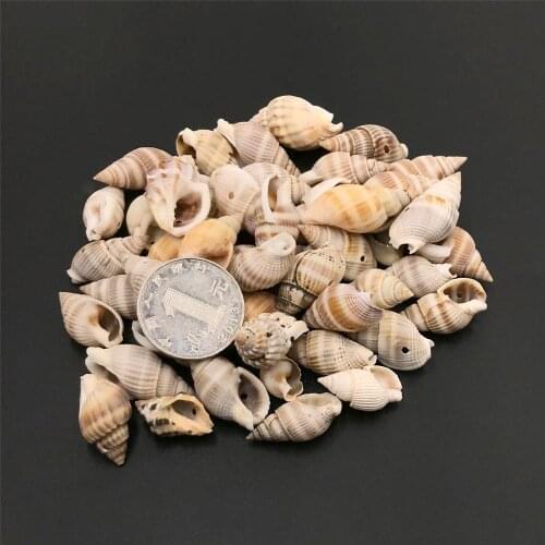 50Pcs Aquarium Decoration Natural Conch Spiral Seashell Beach Shell Cowry Tribal Jewelry Making Accessories Craft DIY Wholesale