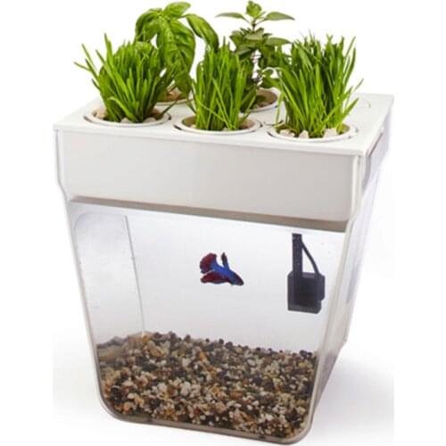 Назад к истокам Pet Supplies