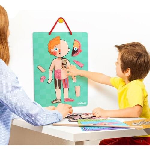 Kids Magnetic 3d Puzzles Educational Toys For Children Magnet Body Structural Recognition Puzzle Toy 84pcs Magnet Teaching Aids