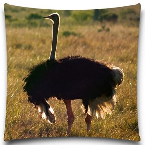 The back of an ostrich 2D print creative Pillow case Square cotton polyester cushion cover 5 size 9 style