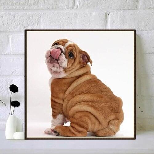 New Diamond Painting DIY Pug Dog Cross Stitch 5d Diy Diamond Painting Cute Dog Home Decoration Painting