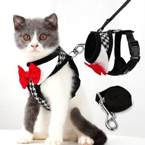 Fashion Safe Control No Pull Dog Harness And Leash Set Elegant Dog Strap Easy Harness For Pet Cat Chihuahua Teddy Outfit