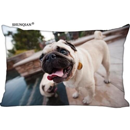 LUQI Pug Dog Want The Candy Zippered Pillowcase Pillow Cover 20x30 inches Birthday Gift For Kids Lover