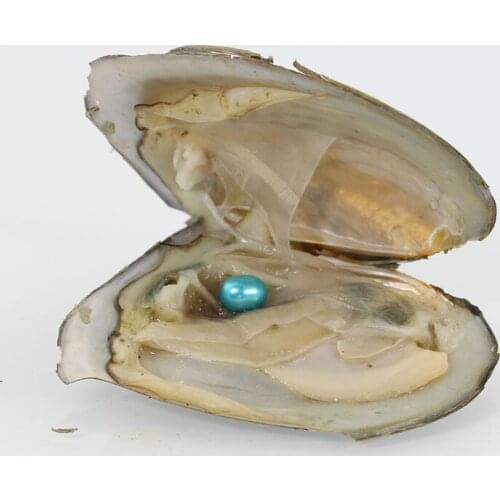 New 20pc 6-7MM Oval Variety Color Freshwater Rice Pearl Oysters Royalblue Vacuum Packed Fashion Trend Gift Surprise FO014